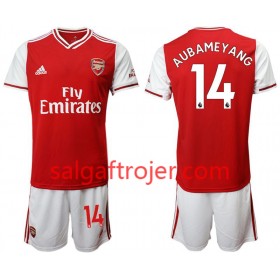 Arsenal Fodboldtrøjer Pierre-Emerick Aubameyang 14 Børn Hjemmebanesæt 2019/20 Kort ærmer